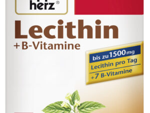 DOPPELHERZ LECITHIN+B-VIT.40 KPS, 41,6G PK