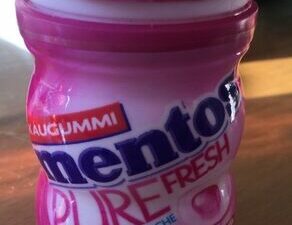 Mentos Pure Fresh Bubble Cool 20 g Ka