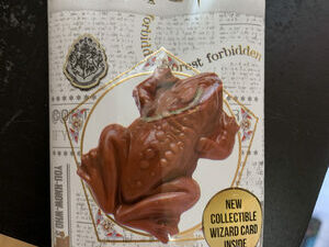 Harry Potter Schoko Frosch 15 g Bt