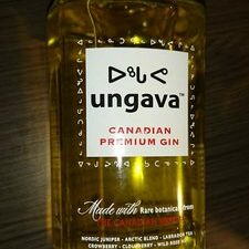 Camus Ungava Gin 43% 0,7 l Fl
