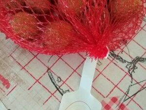 Today Vaseline 125 ml Ds